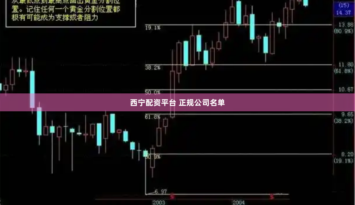 西宁配资平台 正规公司名单